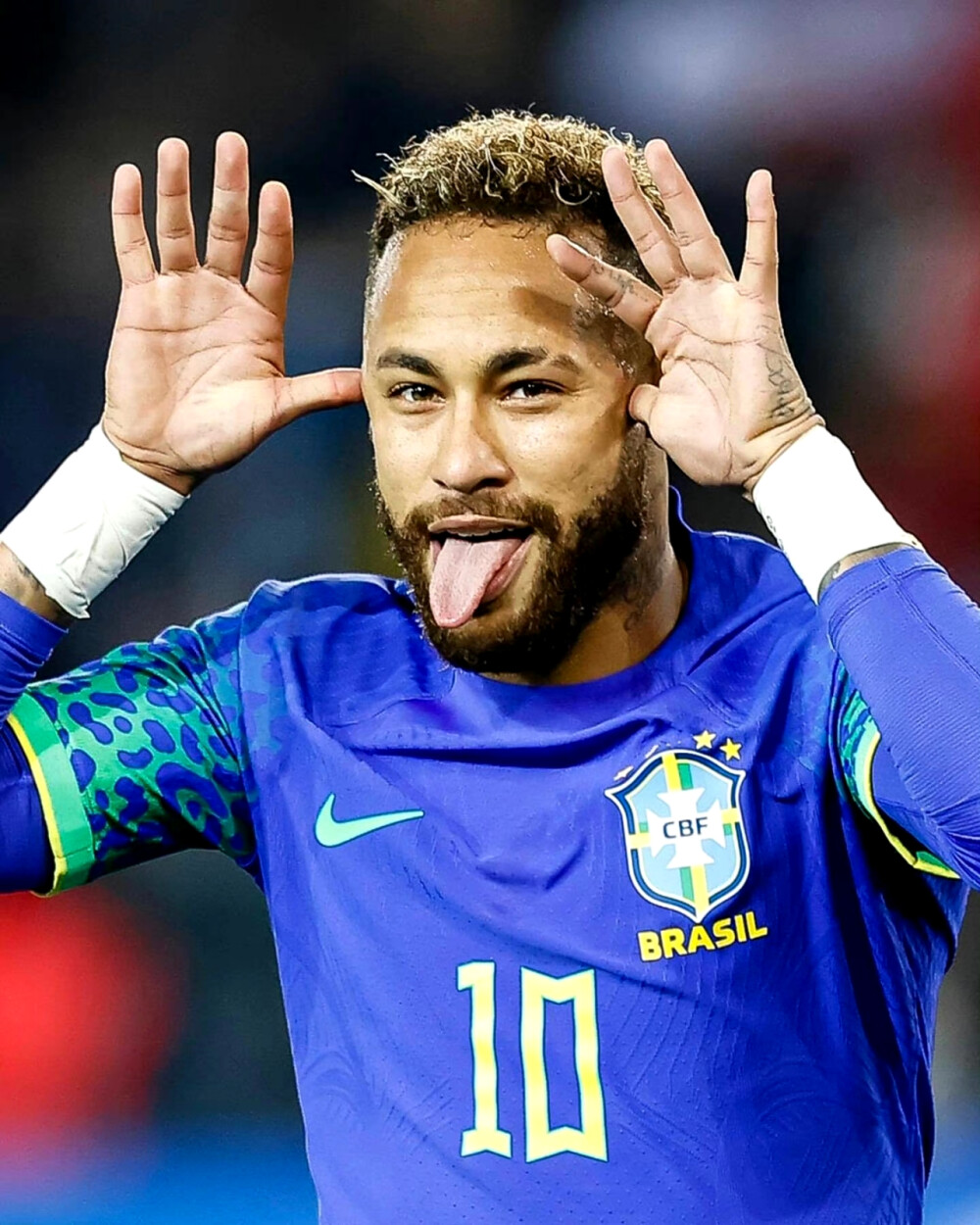 综上所述 综上所述