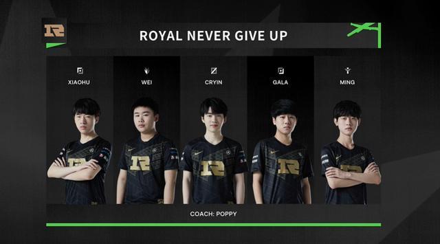 节日增添了 节日增添了